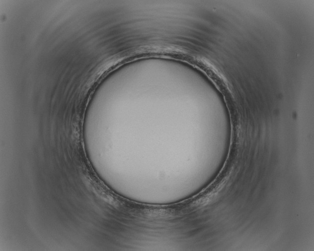 X0000087381025200705181237