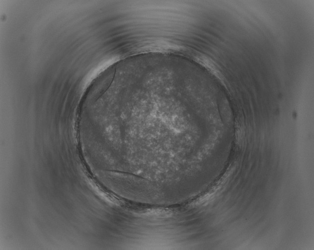 X0000087381026200705181237