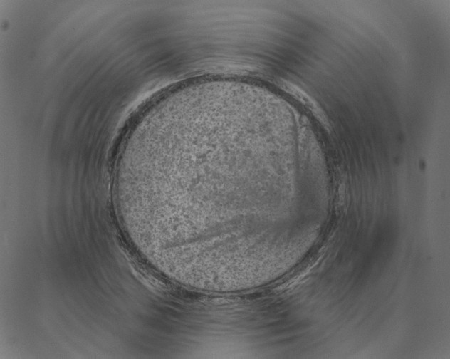 X0000087381027200705181237