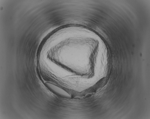 X0000087381028200705181237