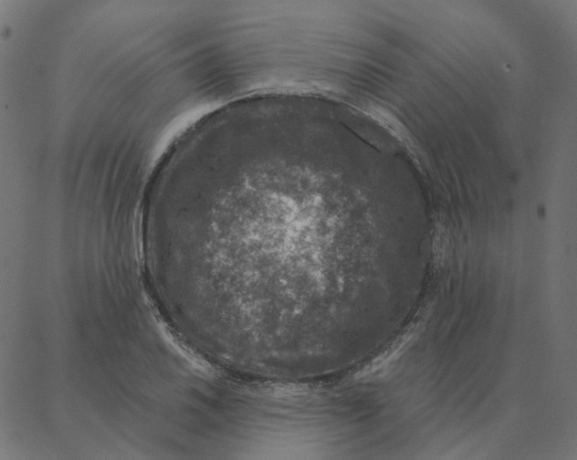 X0000087381030200705181237