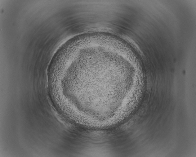 X0000087381031200705181237