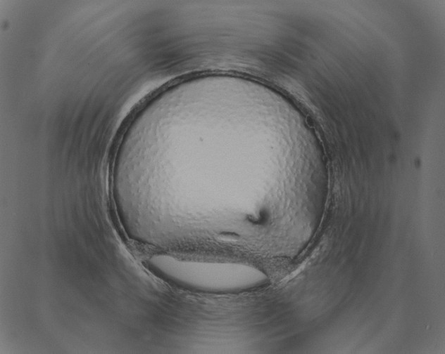 X0000087381032200705181237