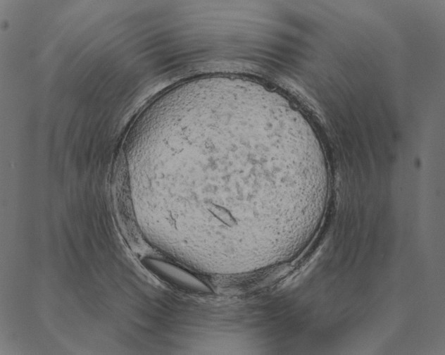 X0000087381033200705181237