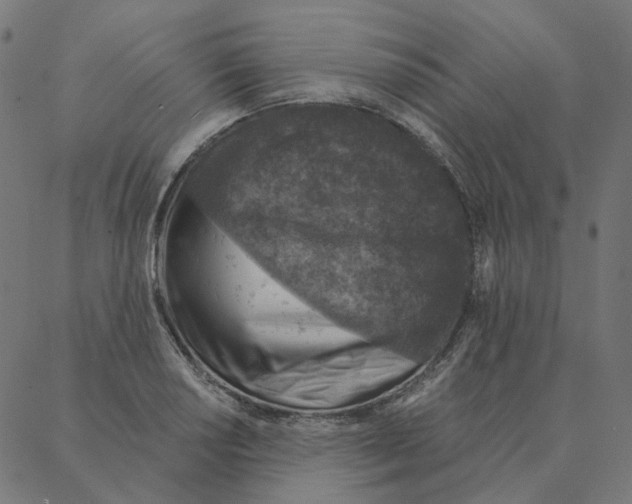 X0000087381034200705181237