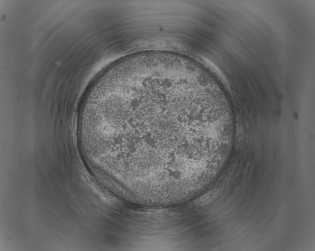 X0000087381035200705181237