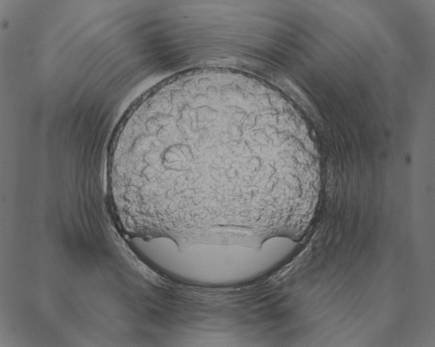 X0000087381036200705181237