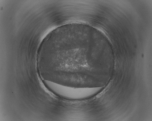 X0000087381038200705181237