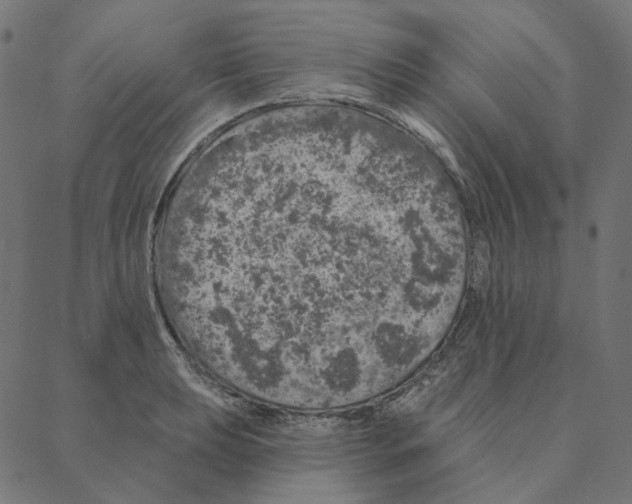 X0000087381039200705181237