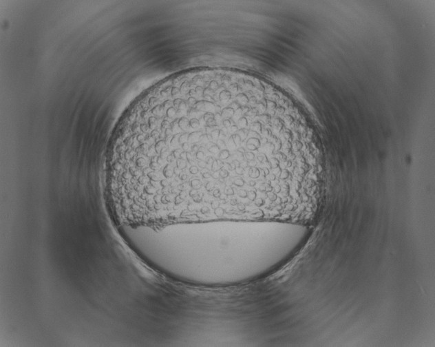 X0000087381040200705181237