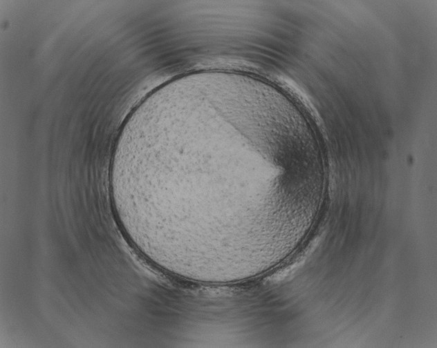 X0000087381041200705181237