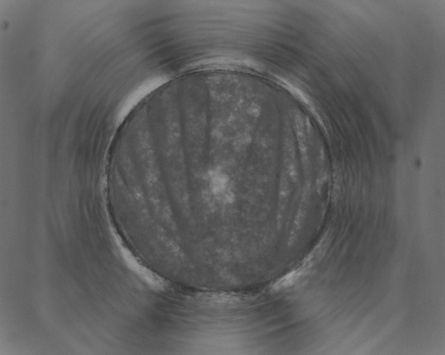 X0000087381042200705181237