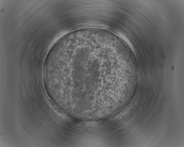 X0000087381043200705181237