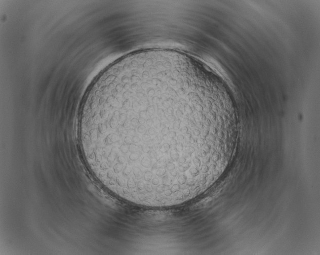 X0000087381044200705181237