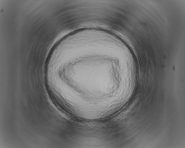 X0000087381045200705181237