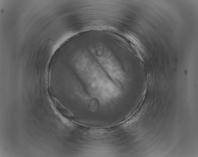 X0000087381046200705181237