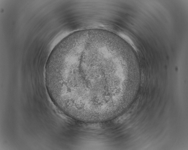 X0000087381047200705181237