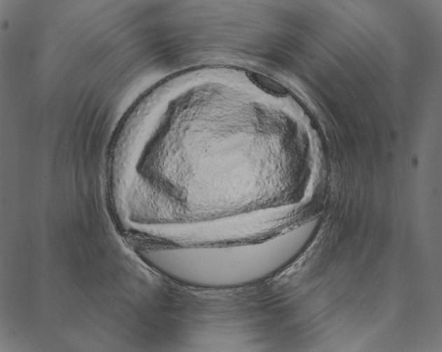 X0000087381048200705181237