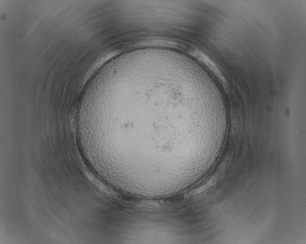 X0000087381049200705181237