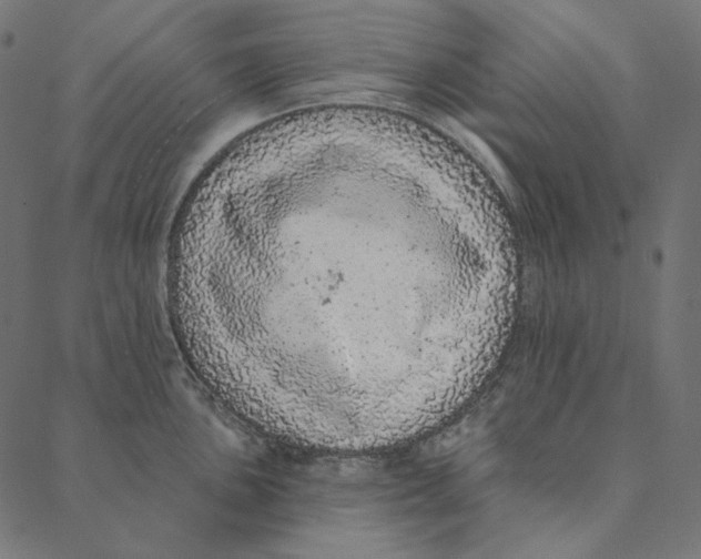 X0000087381051200705181237