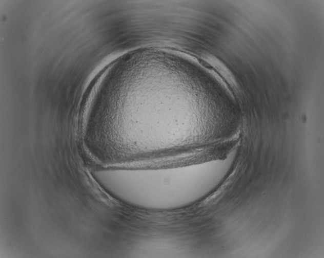 X0000087381052200705181237