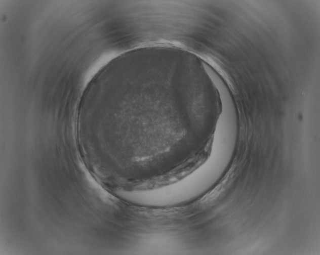 X0000087381054200705181237