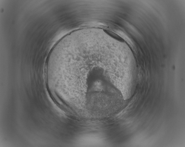 X0000087381055200705181237