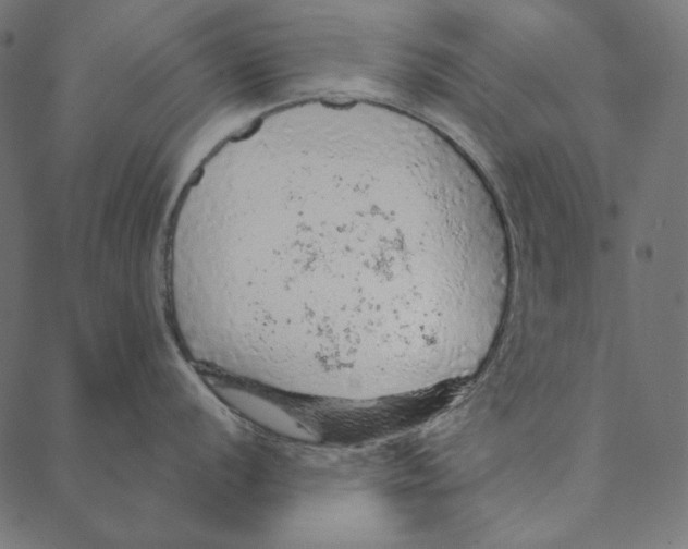 X0000087381056200705181237