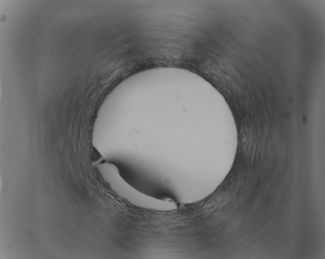 X0000087381057200705181237