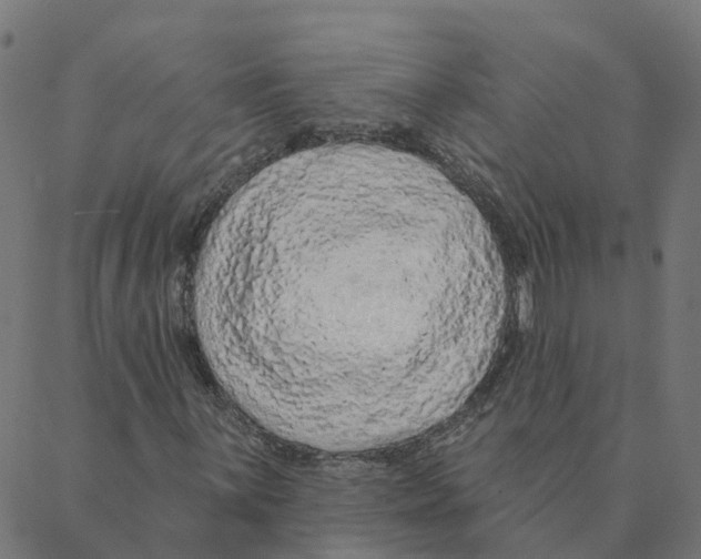 X0000087381059200705181237