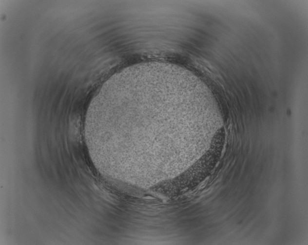 X0000087381060200705181236