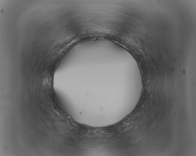 X0000087381061200705181236