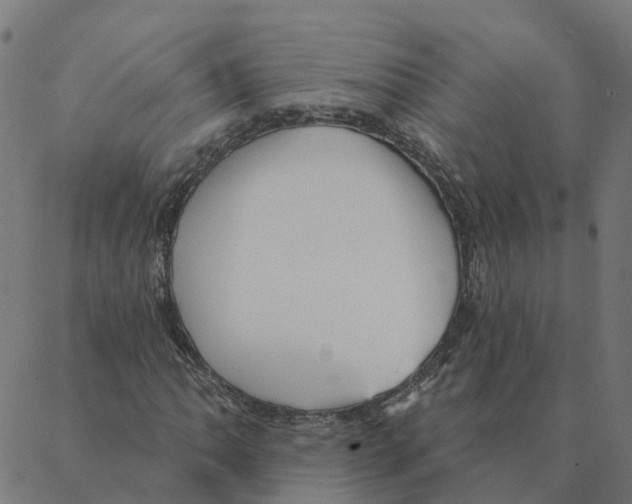 X0000087381062200705181236