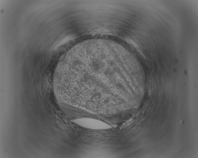 X0000087381063200705181236