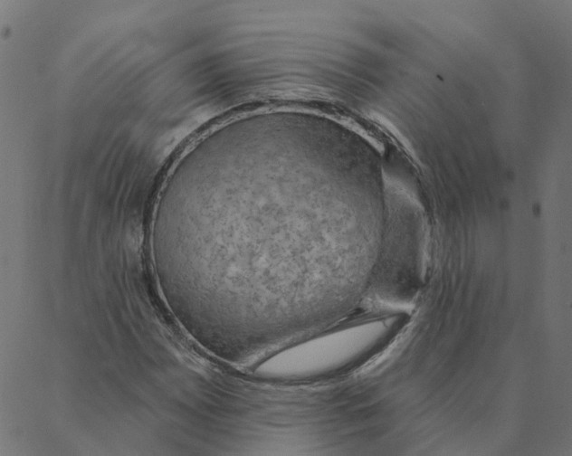 X0000087381065200705181236