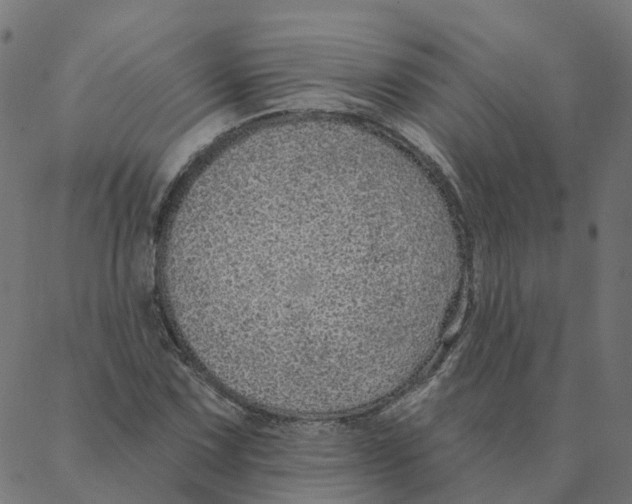 X0000087381067200705181236