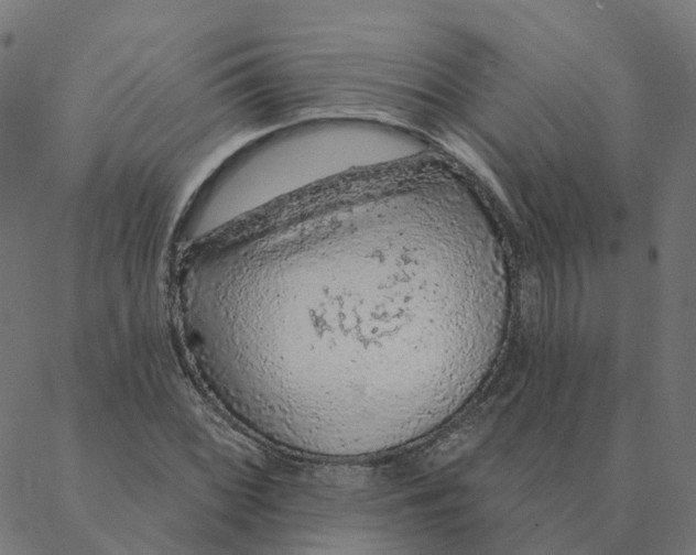 X0000087381068200705181236