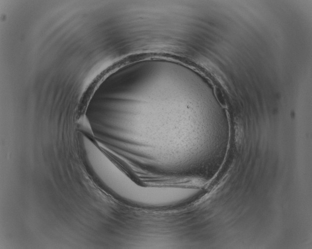 X0000087381069200705181236