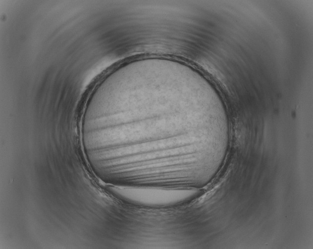 X0000087381070200705181236