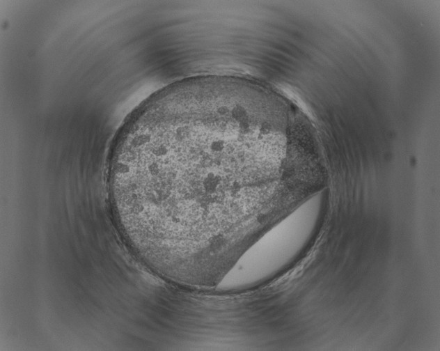 X0000087381071200705181236