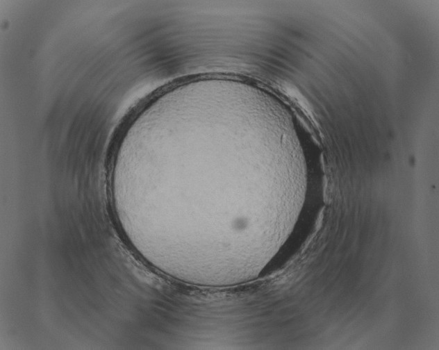 X0000087381072200705181236