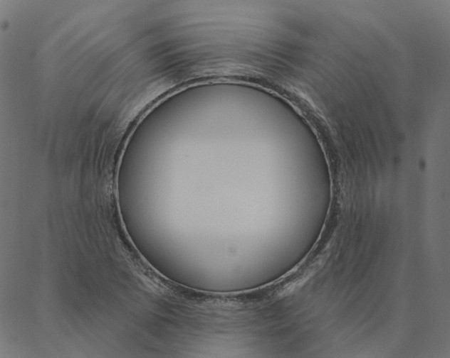 X0000087381073200705181236