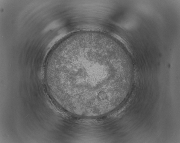 X0000087381074200705181236