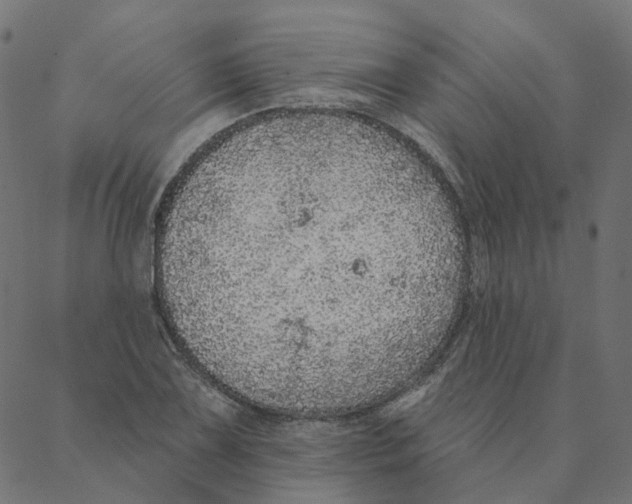 X0000087381075200705181236