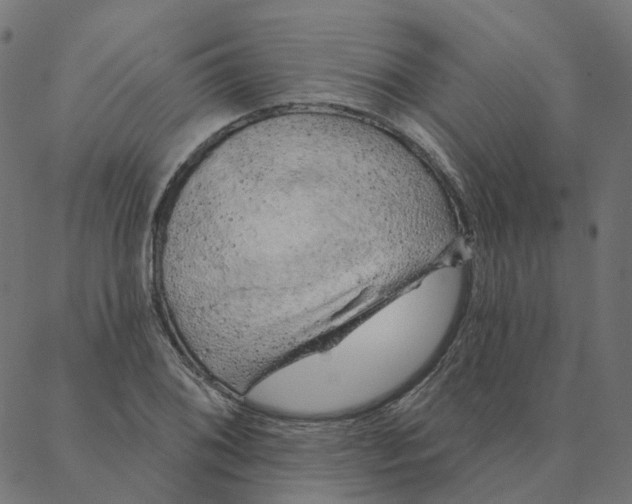 X0000087381076200705181236