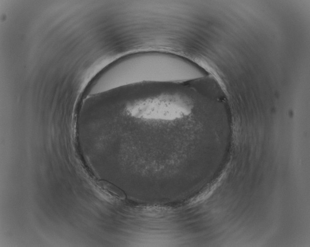 X0000087381077200705181236