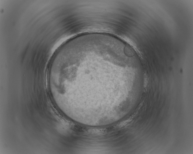 X0000087381078200705181236