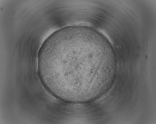 X0000087381079200705181236