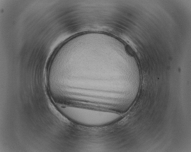 X0000087381080200705181236