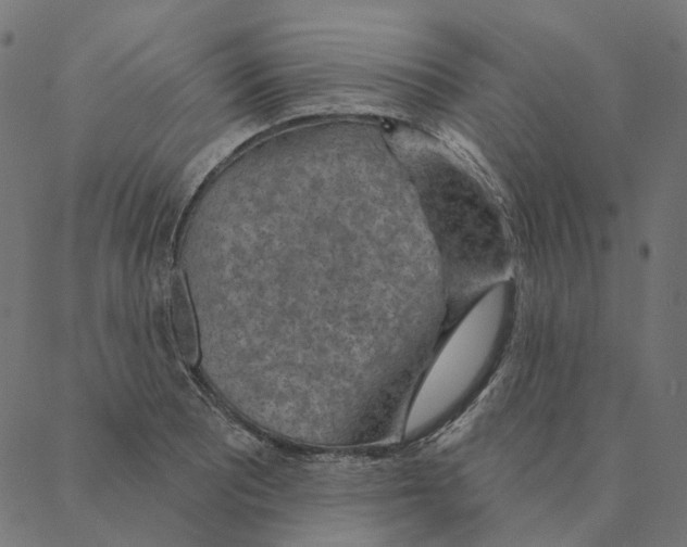 X0000087381081200705181236